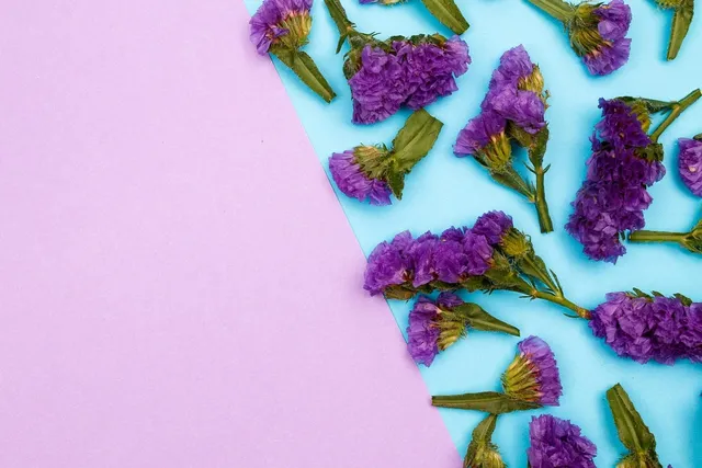 Botanical #4