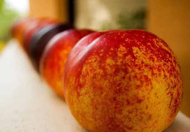 Apricot