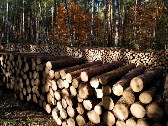 Mahogany