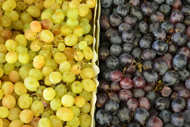 Grape