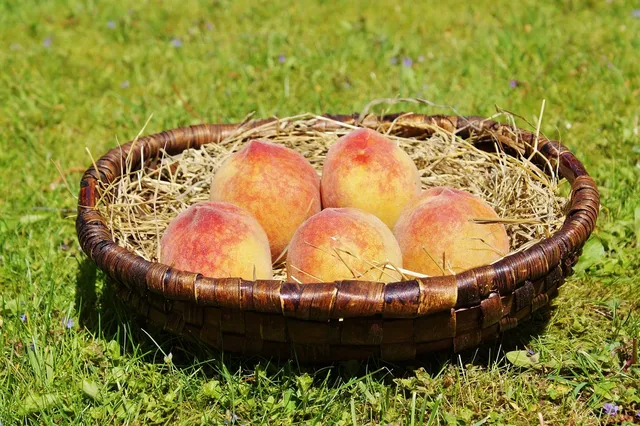 Peach
