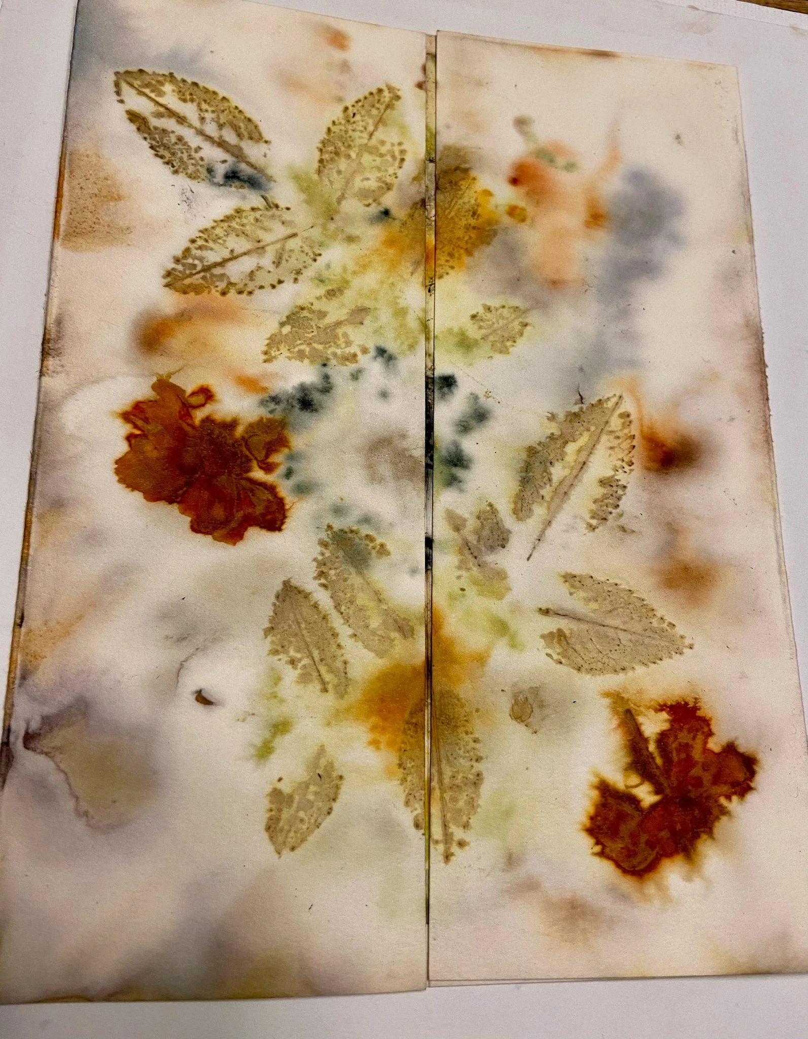 Ecodyed Art Card Sets