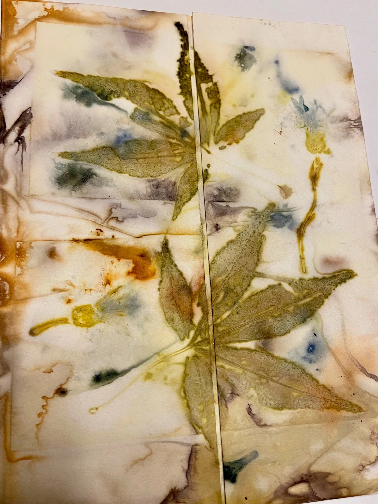 Ecodyed Art Card Sets
