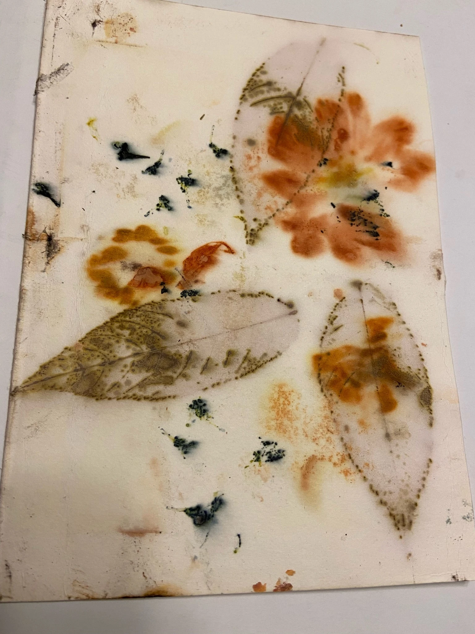 Ecodyed Art Card Sets