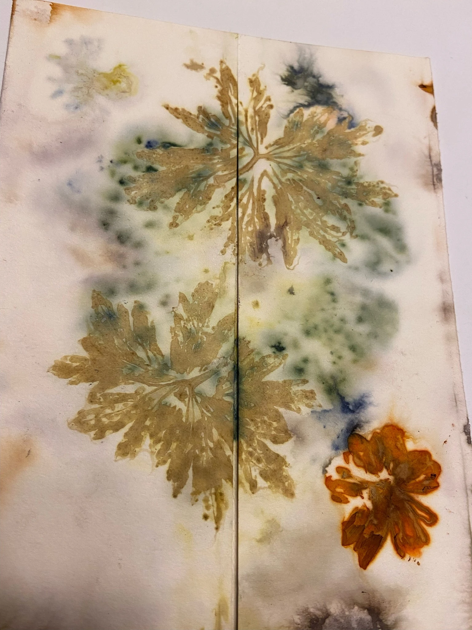 Ecodyed Art Card Sets