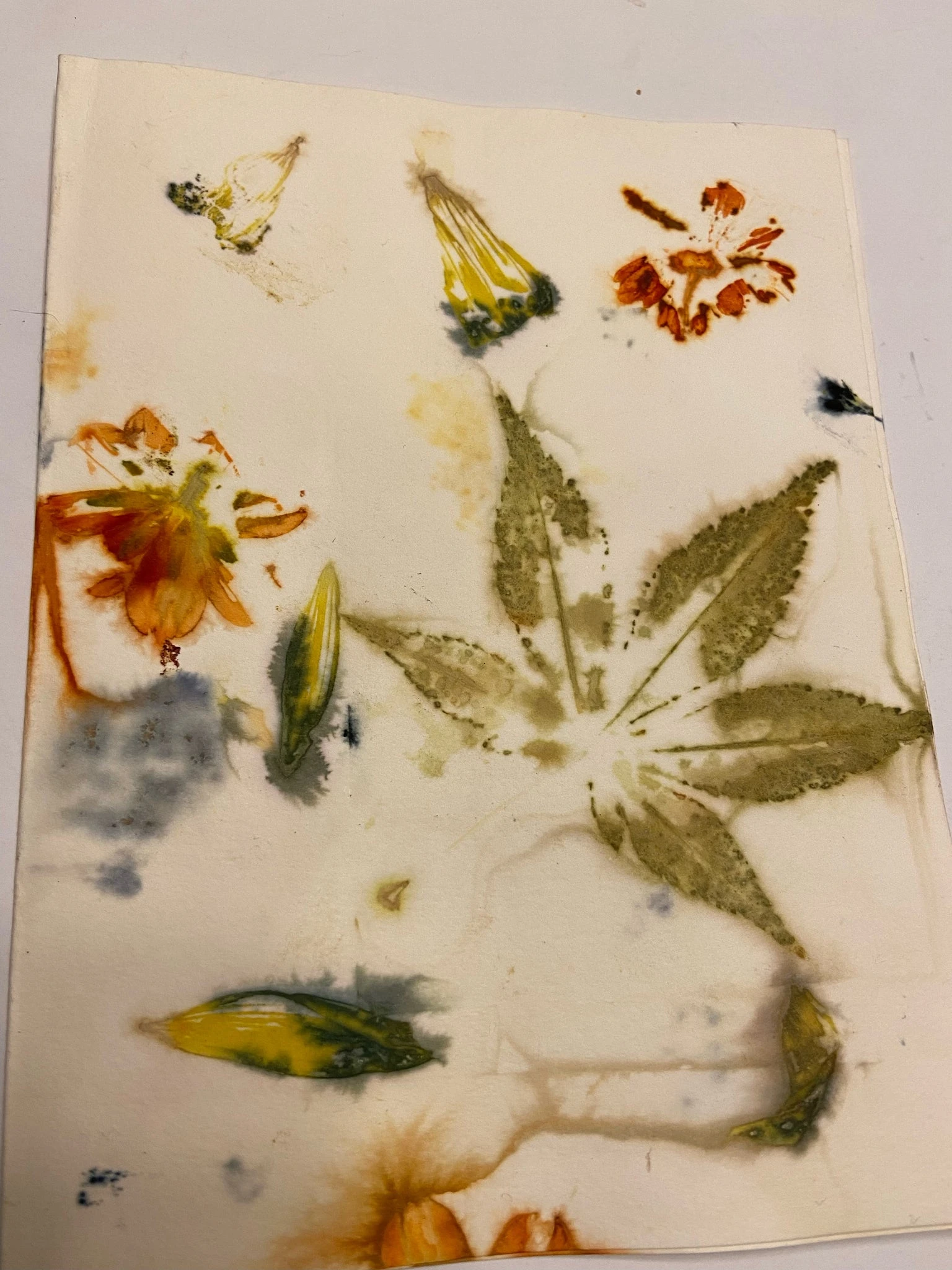 Ecodyed Art Card Sets