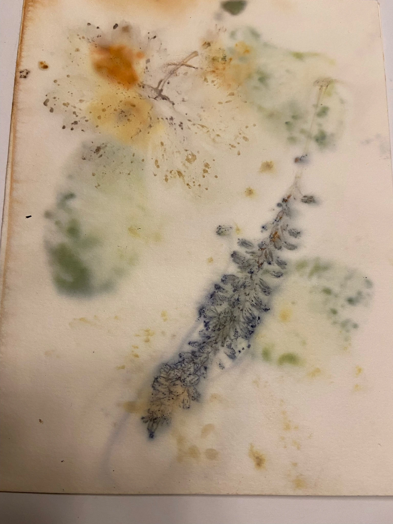 Ecodyed Art Card Sets